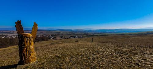 476635324 10228239954045567 7864971925858729640 n