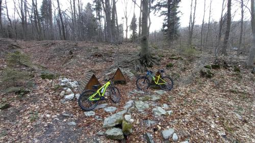 20210318 160245-zmen