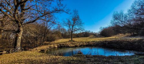 476561504 10228239949045442 3644121052744830052 n