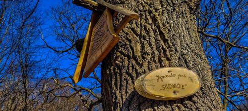 476612149 10228239949845462 4986639951878248617 n