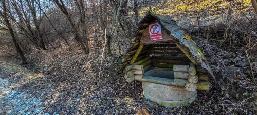 476827578 10228239948925439 7134509342355270558 n