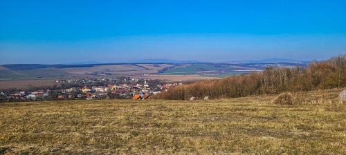 477825810 10228239944805336 5773502643664979424 n