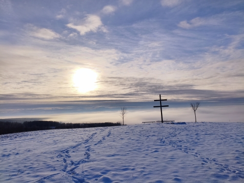 MVIMG 20260106 085210