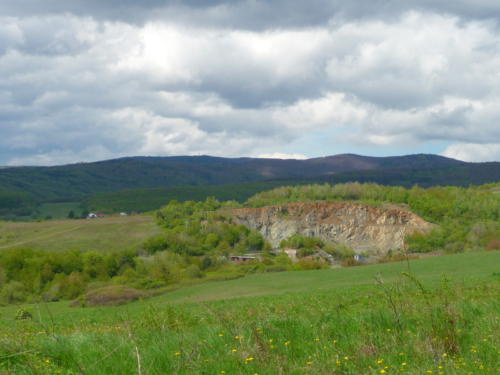 P1350261