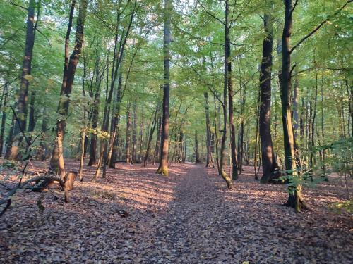 IMG 20241015 171744-zmen