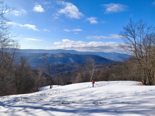 MVIMG 20260127 115801-TIT