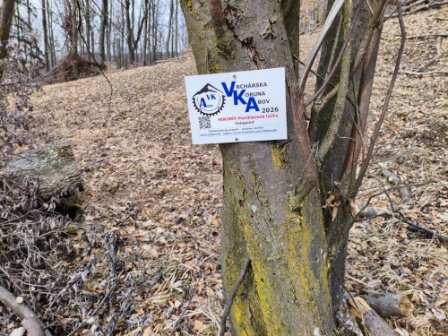 MVIMG 20260310 120716