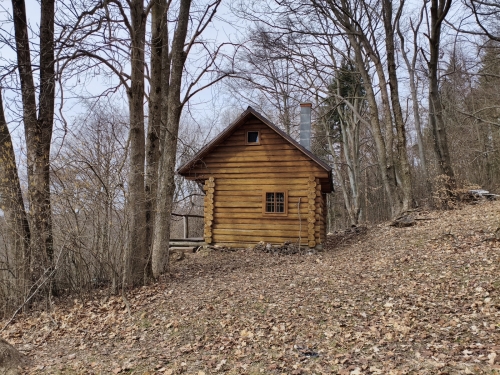 MVIMG 20260310 121544