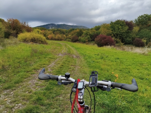 MVIMG 20251012 134641