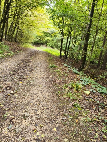 MVIMG 20251012 140848