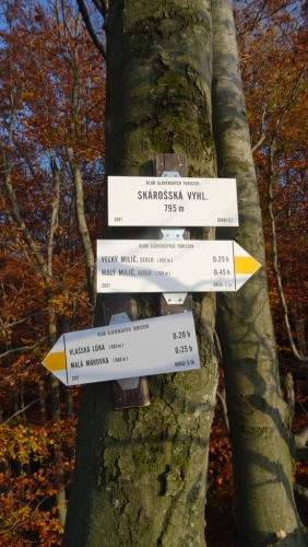 ???????????????????????????????