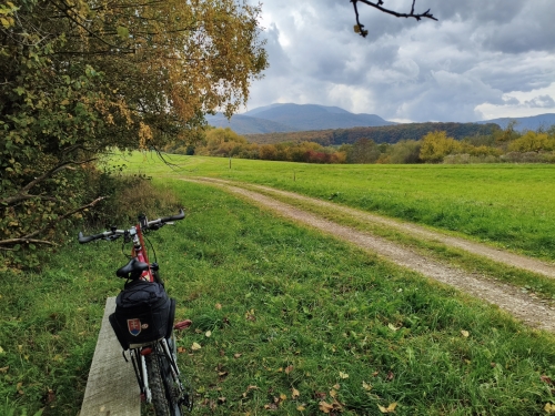 IMG 20251017 125119-tit