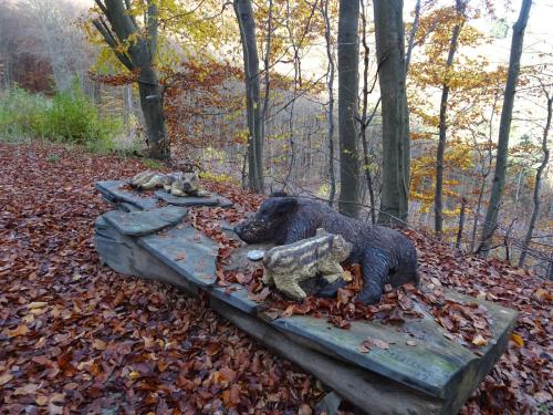 SVINKY-DSC03397-zmen